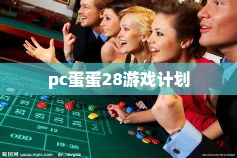 pc蛋蛋28游戏计划