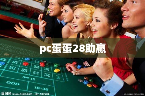 pc蛋蛋28助赢