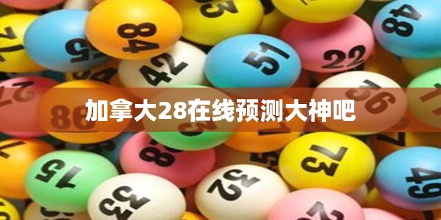 加拿大28在线预测大神吧