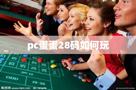 pc蛋蛋28码如何玩