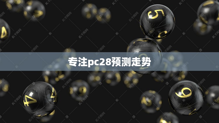 专注pc28预测走势