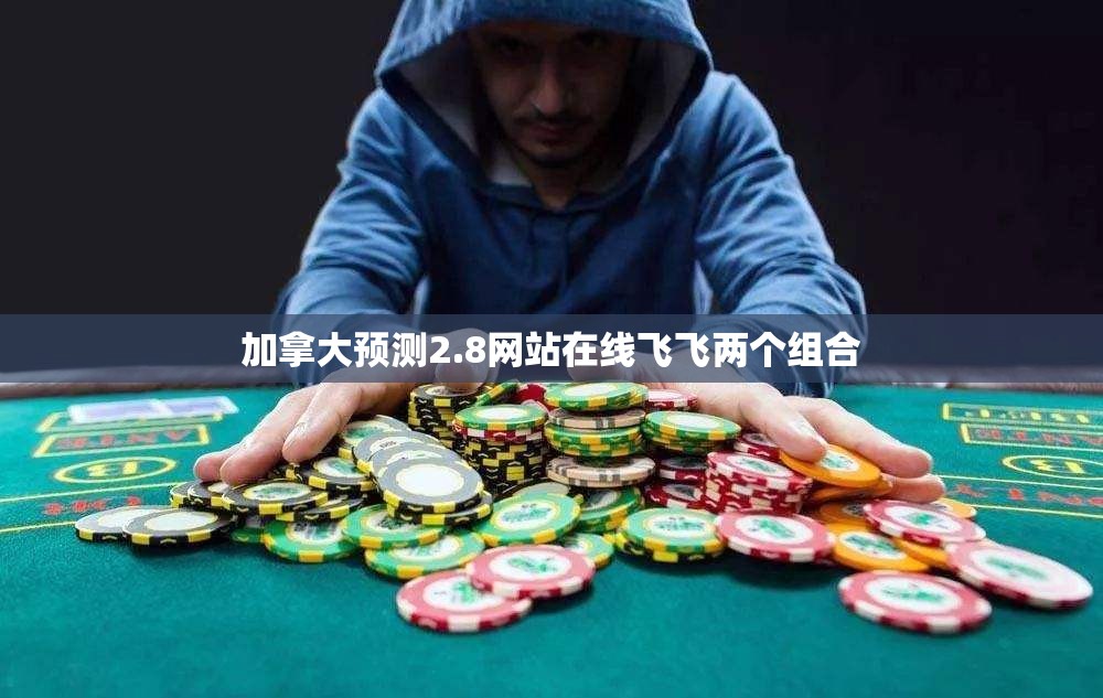 加拿大预测2.8网站在线飞飞两个组合